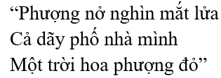 Hoa phượng – Bài 7 – Tiếng Việt lớp 1 (trang 140 → 141) - Kết nối tri thức