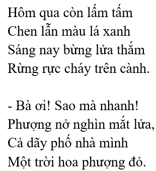 Hoa phượng – Bài 7 – Tiếng Việt lớp 1 (trang 140 → 141) - Kết nối tri thức