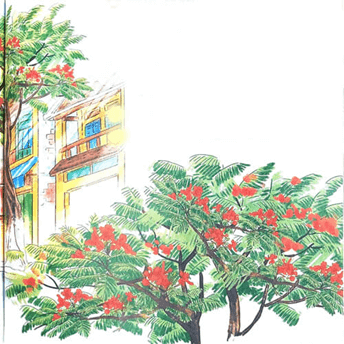 Hoa phượng – Bài 7 – Tiếng Việt lớp 1 (trang 140 → 141) - Kết nối tri thức