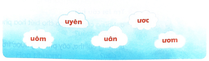 Ôn tập – Tiếng Việt lớp 1 (trang 142 → 143) - Kết nối tri thức