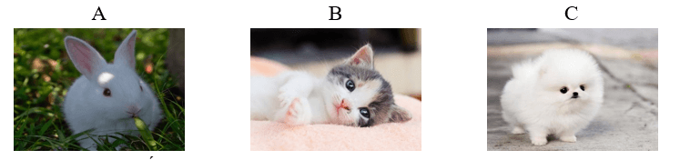 Trắc nghiệm Tiếng Việt lớp 1 Bài 1 (có đáp án): Cậu bé thông minh - Kết nối tri thức