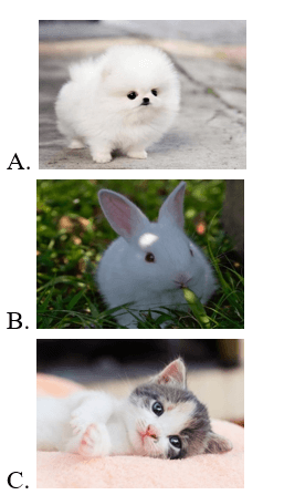 Trắc nghiệm Tiếng Việt lớp 1 Bài 1 (có đáp án): Cậu bé thông minh - Kết nối tri thức