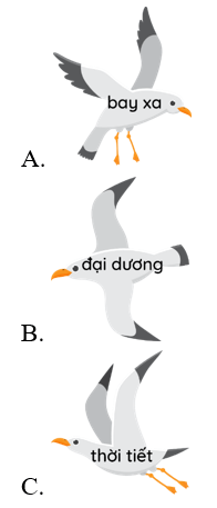 Trắc nghiệm Tiếng Việt lớp 1 Bài 1 (có đáp án): Loài chim của biển cả - Kết nối tri thức