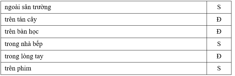Trắc nghiệm Tiếng Việt lớp 1 Bài 1 (có đáp án): Tia nắng đi đâu? | Kết nối tri thức
