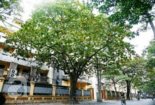 Trắc nghiệm Tiếng Việt lớp 1 Bài 1 (có đáp án): Tôi đi học - Kết nối tri thức