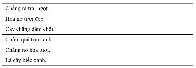 Trắc nghiệm Tiếng Việt lớp 1 Bài 2 (có đáp án): Câu chuyện của rễ | Kết nối tri thức