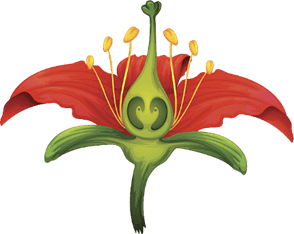 Trắc nghiệm Tiếng Việt lớp 1 Bài 3 (có đáp án): Hoa yêu thương | Kết nối tri thức