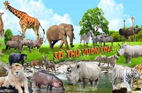 Trắc nghiệm Tiếng Việt lớp 1 Bài 4 (có đáp án): Giải thưởng tình bạn | Kết nối tri thức