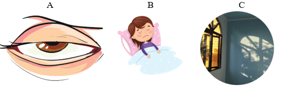 Trắc nghiệm Tiếng Việt lớp 1 Bài 4 (có đáp án): Quạt cho bà ngủ | Kết nối tri thức