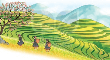 Trắc nghiệm Tiếng Việt lớp 1 Bài 4 (có đáp án): Ruộng bậc thang ở Sa Pa | Kết nối tri thức