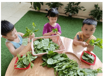 Trắc nghiệm Tiếng Việt lớp 1 Bài 43 (có đáp án): au, âu, êu | Kết nối tri thức