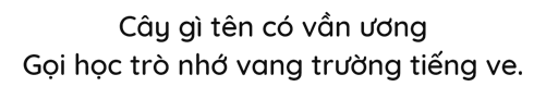 Trắc nghiệm Tiếng Việt lớp 1 Bài 5 (có đáp án): Cây liễu dẻo dai | Kết nối tri thức