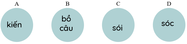 Trắc nghiệm Tiếng Việt lớp 1 Bài 6 (có đáp án): Ôn tập | Kết nối tri thức