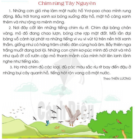 Chim rừng tây nguyên trang 42 - 43 Tiếng Việt lớp 2 Tập 2 | Cánh diều
