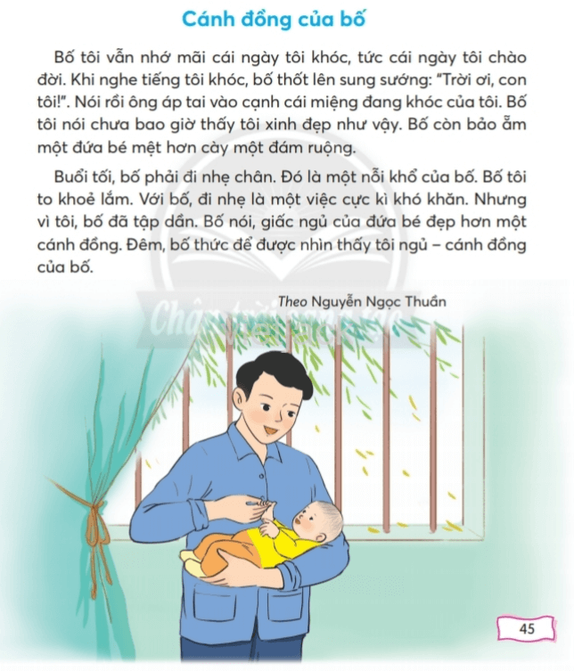 Tiếng Việt lớp 2 Bài 2: Cánh đồng của bố trang 45, 46, 47, 48, 49 - Chân trời