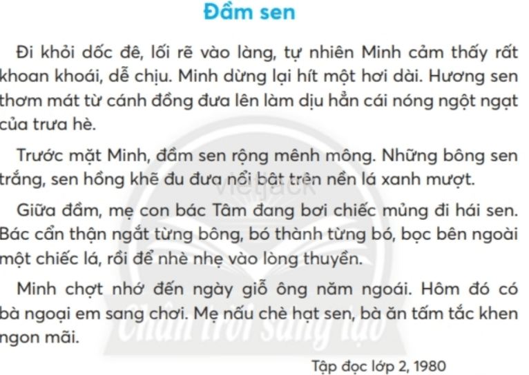 Tiếng Việt lớp 2 Bài 2: Đầm sen trang 29, 30, 31, 32, 33 - Chân trời