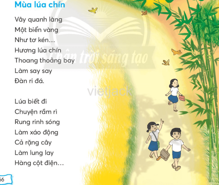 Tiếng Việt lớp 2 Bài 3: Mùa lúa chín trang 66, 67, 68 - Chân trời