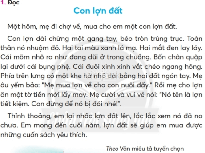 Tiếng Việt lớp 2 Bài 4: Con lợn đất trang 53, 54, 55, 56, 57 - Chân trời