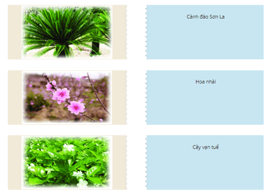 Trắc nghiệm Cây và hoa bên lăng Bác (có đáp án) | Tiếng Việt lớp 2 Chân trời sáng tạo