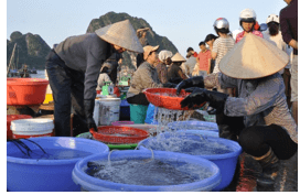 Trắc nghiệm Từ và câu trang 108 (có đáp án) | Tiếng Việt lớp 2 Chân trời sáng tạo