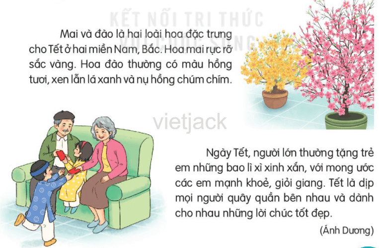 Soạn bài Tập đọc Bím tóc đuôi sam Tiếng Việt lớp 2  TRƯỜNG THPT TRẦN HƯNG  ĐẠO