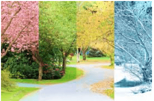 Trắc nghiệm Luyện tập trang 14, 15 (có đáp án) | Tiếng Việt lớp 2 Kết nối tri thức