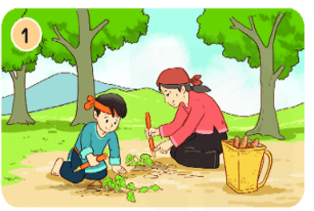 Trắc nghiệm Kể chuyện Sự tích cây khoai lang (có đáp án) | Tiếng Việt lớp 2 Kết nối tri thức