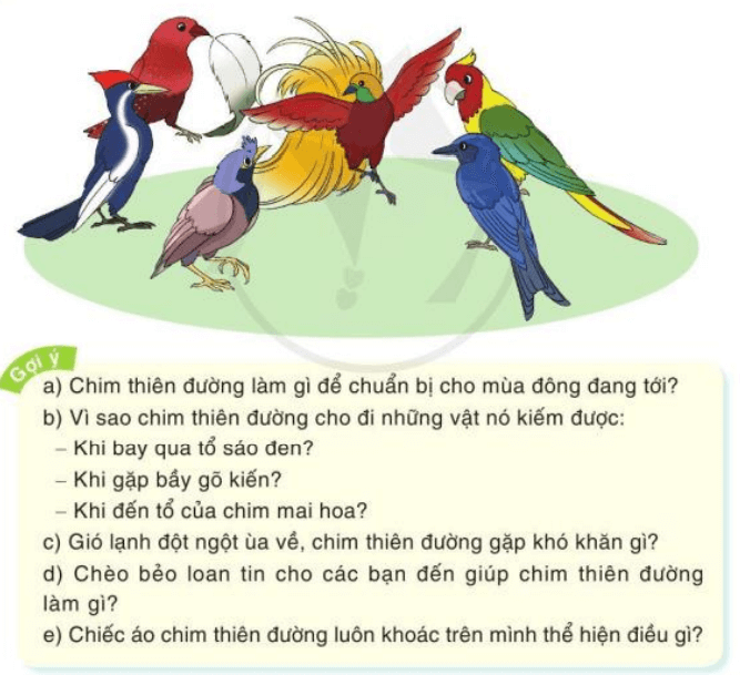 Bộ lông rực rỡ của chim thiên đường trang 70 Tiếng Việt lớp 3 Tập 1 Cánh diều