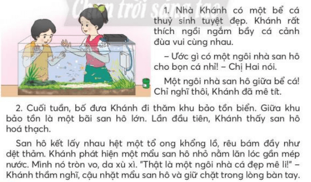 Cậu bé và mẩu san hô trang 106, 107 Tiếng Việt lớp 3 Tập 2 | Chân trời sáng tạo