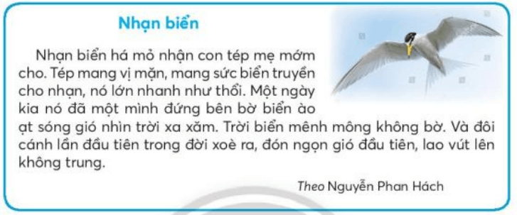Tiết 2 trang 128 Tiếng Việt lớp 3 Tập 2 | Chân trời sáng tạo