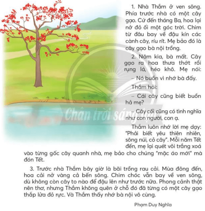 Tiết 5 trang 75, 76 Tiếng Việt lớp 3 Tập 2 | Chân trời sáng tạo