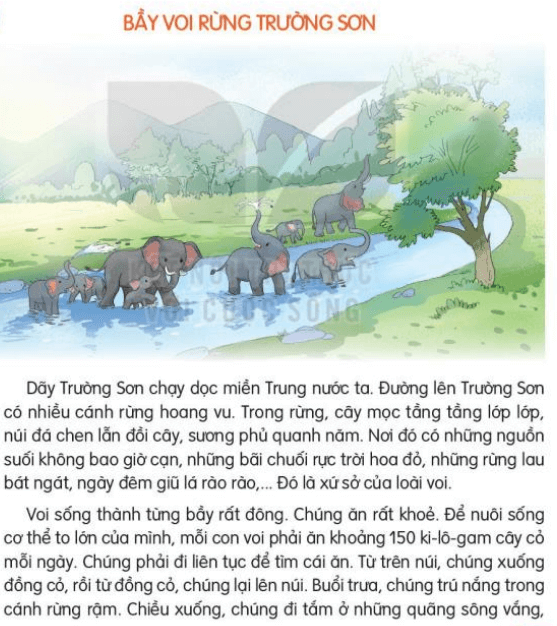 Đọc: Bầy voi rừng Trường Sơn trang 35, 36 Tiếng Việt lớp 3 Tập 2 | Kết nối tri thức