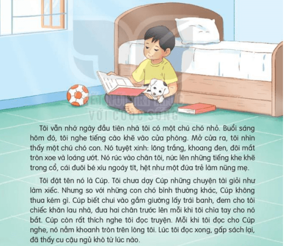 Đọc: Bạn nhỏ trong nhà | Tiếng Việt lớp 3 Kết nối tri thức