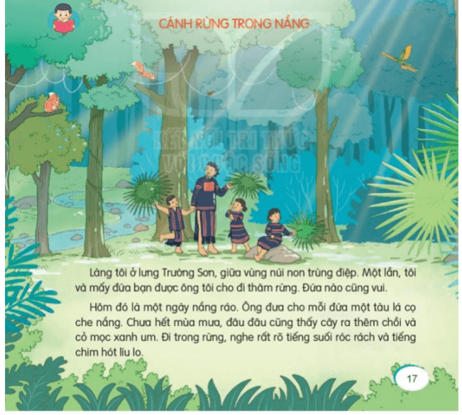 Đọc: Cánh rừng trong nắng lớp 3 | Tiếng Việt lớp 3 Kết nối tri thức