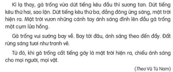 Đọc: Đi tìm mặt trời lớp 3 - Tiếng Việt lớp 3 Kết nối tri thức