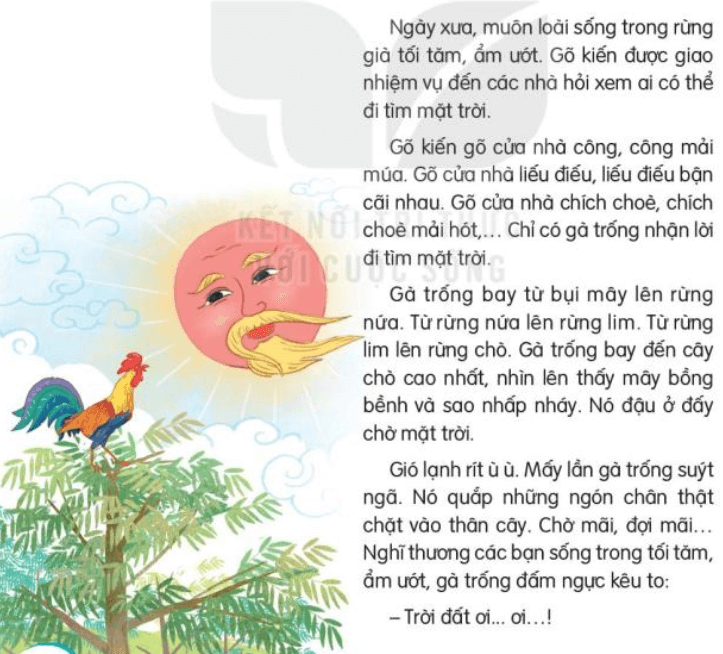 Đọc: Đi tìm mặt trời lớp 3 | Tiếng Việt lớp 3 Kết nối tri thức