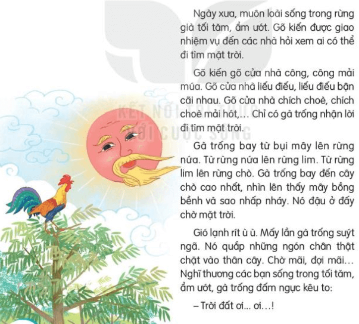 Đọc: Đi tìm mặt trời lớp 3 - Tiếng Việt lớp 3 Kết nối tri thức