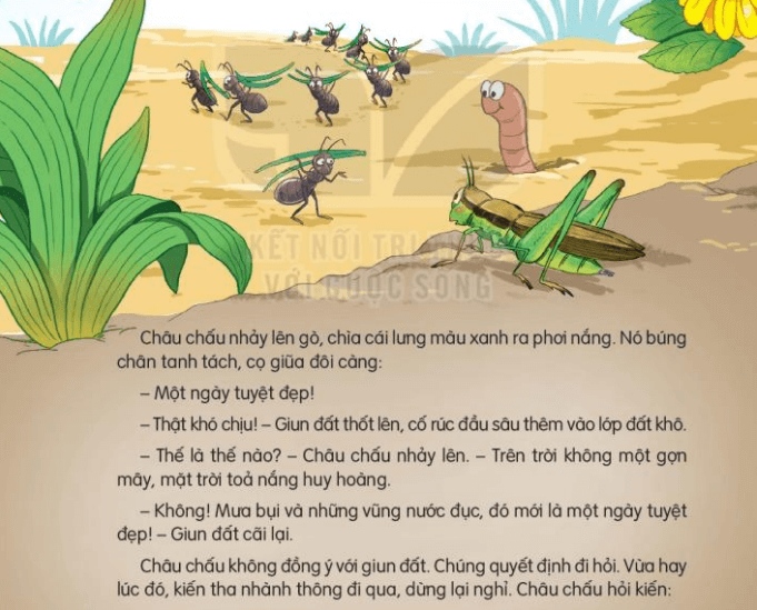 Đọc: Ngày như thế nào là đẹp? trang 63, 64 Tiếng Việt lớp 3 Tập 2 | Kết nối tri thức