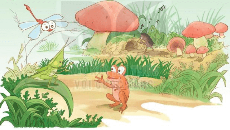 Đọc: Ngôi nhà trong cỏ lớp 3 - Tiếng Việt lớp 3 Kết nối tri thức