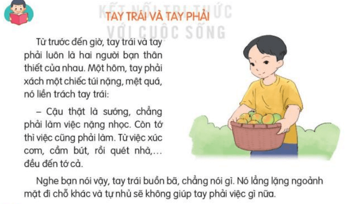 Đọc: Tay trái và tay phải trang 52, 53 Tiếng Việt lớp 3 Tập 2 | Kết nối tri thức