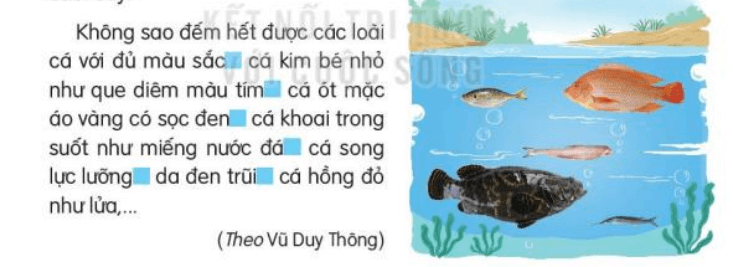 Tiết 1, 2 trang 71, 72 Tiếng Việt lớp 3 Tập 2 | Kết nối tri thức
