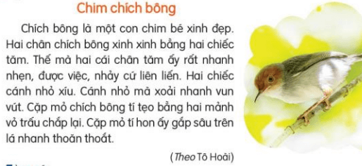 Viết trang 26 Tiếng Việt lớp 3 Tập 2 | Kết nối tri thức