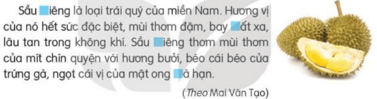 Viết trang 34 Tiếng Việt lớp 3 Tập 2 | Kết nối tri thức