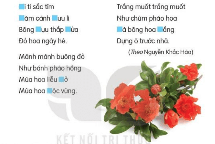 Viết trang 43 Tiếng Việt lớp 3 Tập 2 Kết nối tri thức