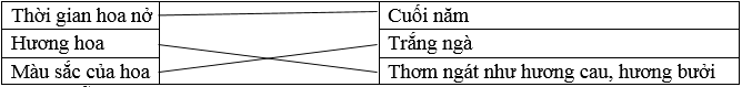 Trắc nghiệm Luyện tập tả cây cối (trang 41) (có đáp án) | Tiếng Việt lớp 4 Cánh diều