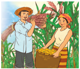 Nhấn vào ảnh để phóng to Bài 3: Từ Cu-ba Tiếng Việt lớp 4 Chân trời sáng tạo