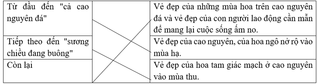 Trắc nghiệm Những mùa hoa trên cao nguyên đá (có đáp án) | Tiếng Việt lớp 4 Chân trời sáng tạo