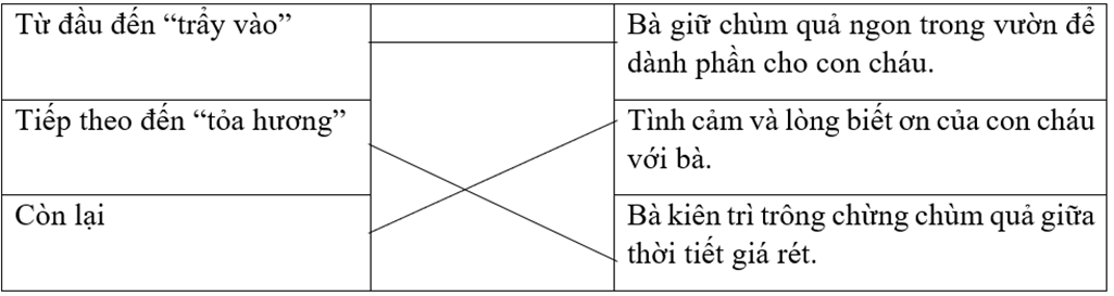 Trắc nghiệm Đọc: Quả ngọt cuối mùa (có đáp án) | Tiếng Việt lớp 4 Chân trời sáng tạo