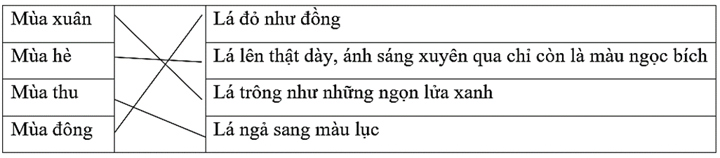 Trắc nghiệm Viết đoạn văn cho bài văn miêu tả cây cối (có đáp án) | Tiếng Việt lớp 4 Chân trời sáng tạo