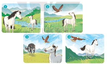 Bài 30: Cánh chim nhỏ Tiếng Việt lớp 4 Kết nối tri thức